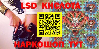 индика Рыбинск