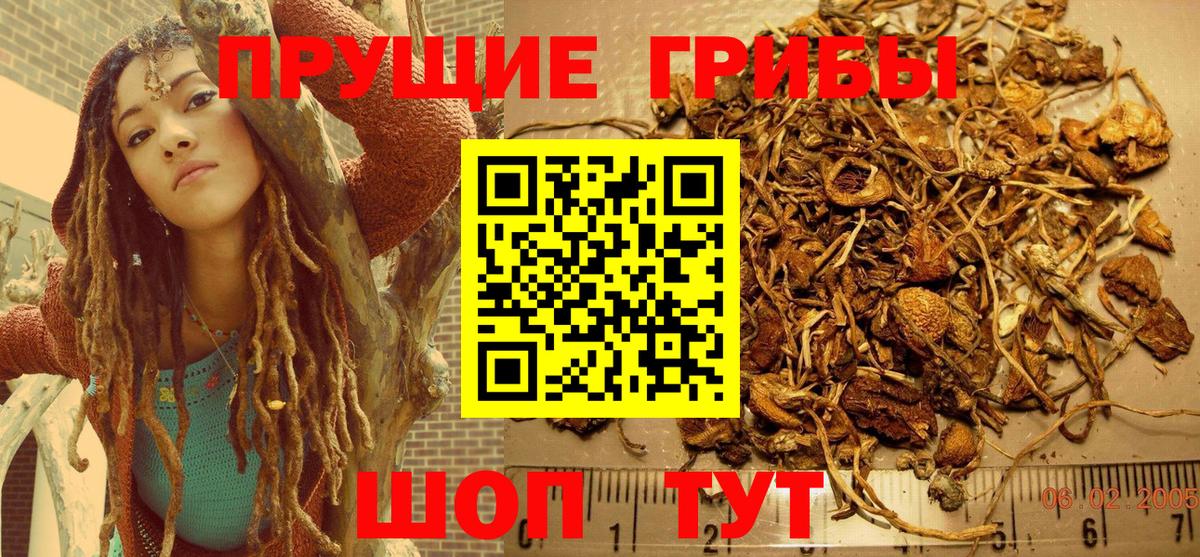 Псилоцибиновые грибы Magic Shrooms Богородицк